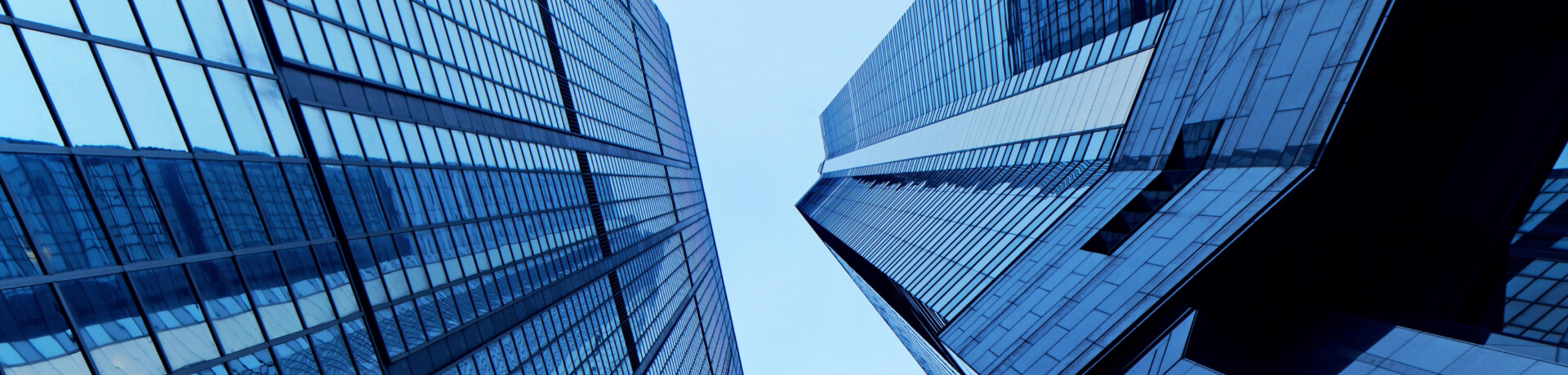 Professional Services Firms